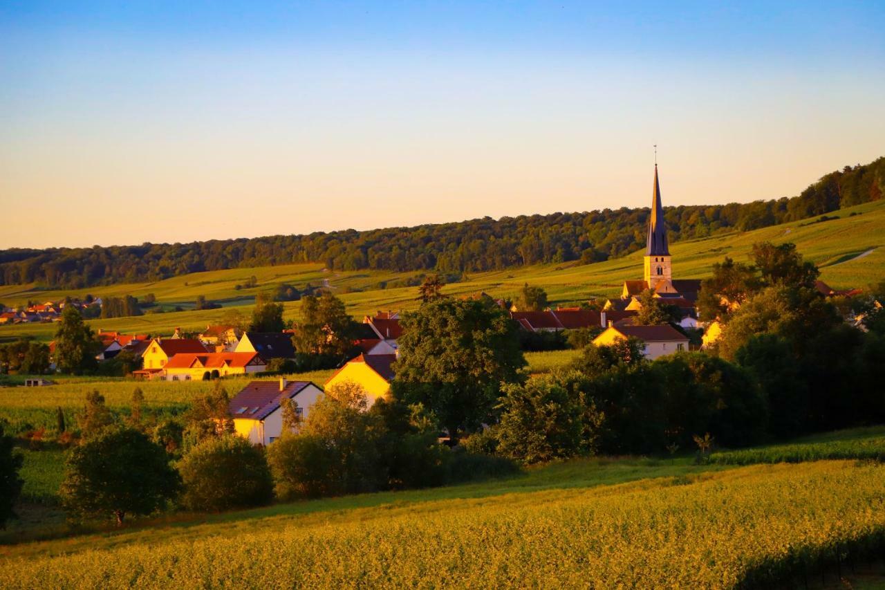 The Sparkling Castle Реймс Экстерьер фото